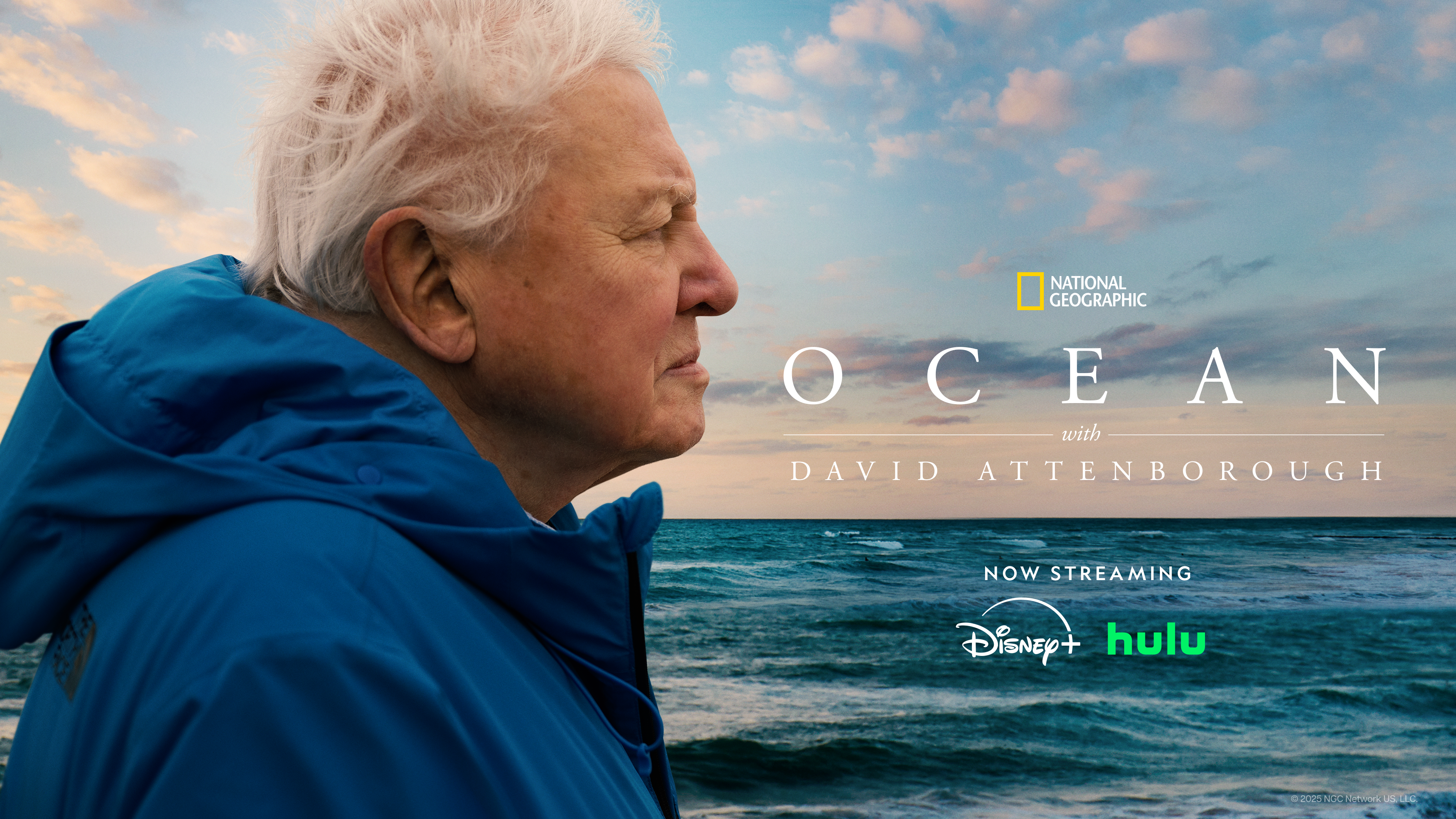 “We Are Nature”: Doug Anderson and Toby Strong on making “Ocean with David Attenborough”