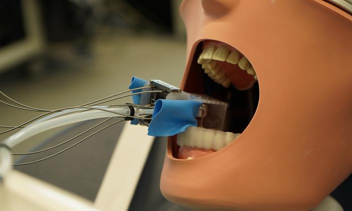 A Cork-Sized Robot Could Soon Help Dentists Skip a Follow-Up Visit