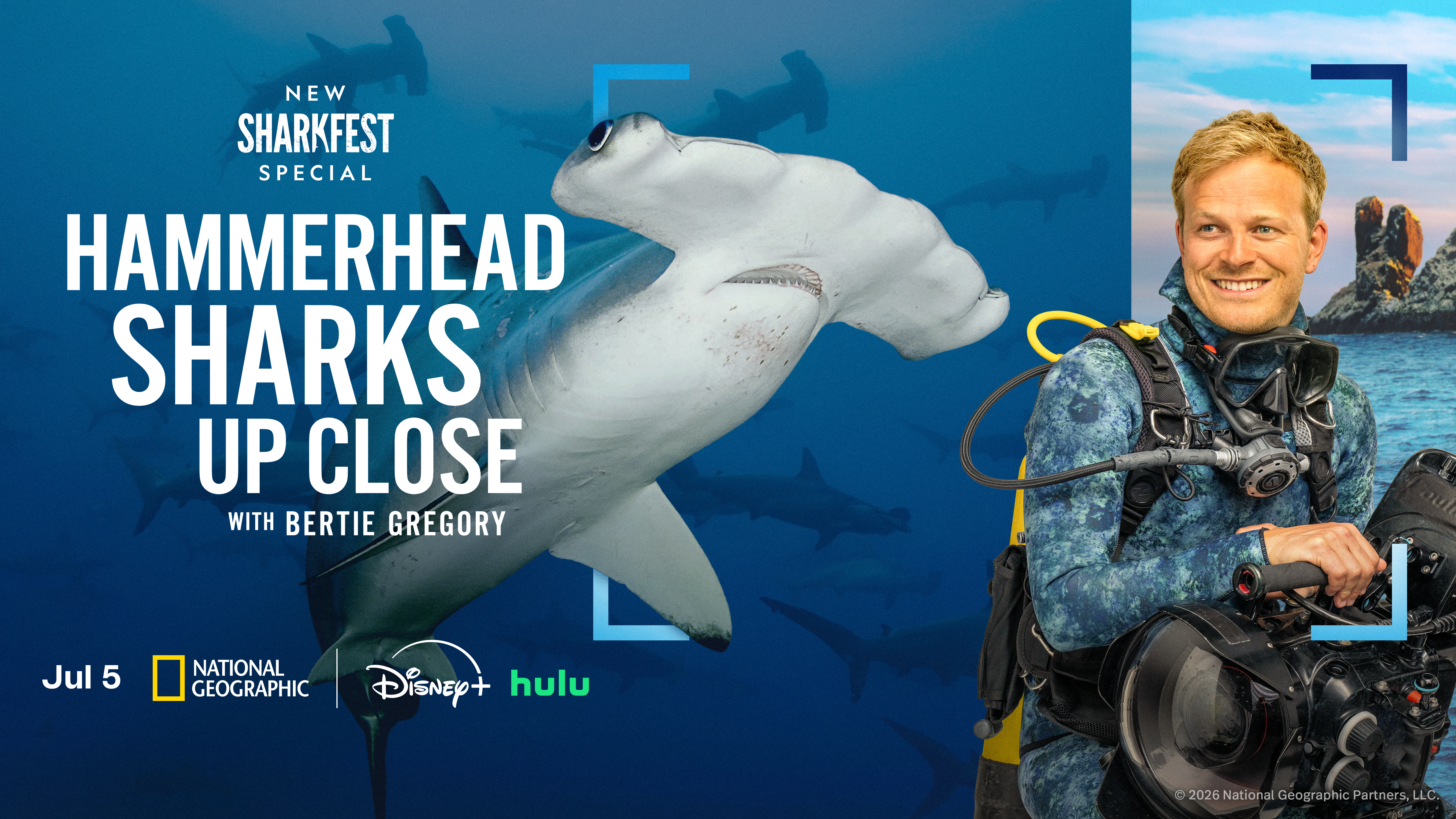 Proof of Life in Protected Waters: “Hammerhead Sharks Up Close with Bertie Gregory”