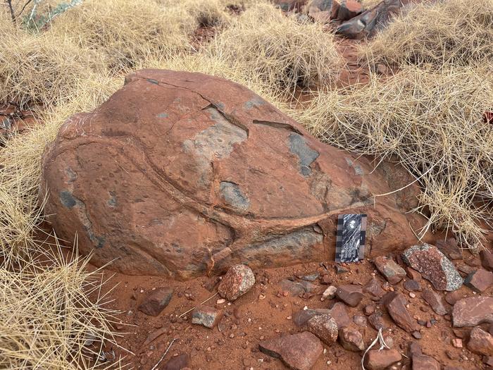 Ancient Rocks Suggest Earth Was Sending Water Underground 3.1 Billion Years Ago