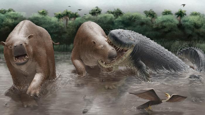 Clash of the Miocene Giants: Fossilized Bites Reveal Colombia’s Ancient Apex Predators